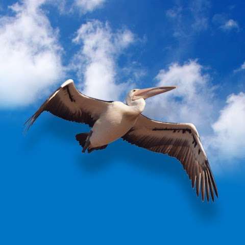 Pelican Family Medicine Pelican Family Medicine