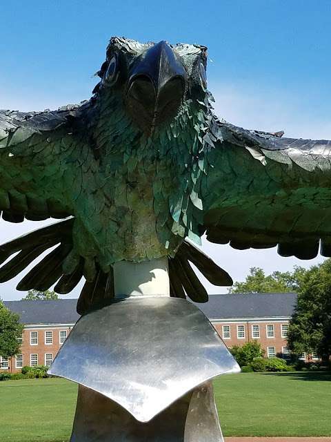 UNCW Soaring Seahawk Sculpture